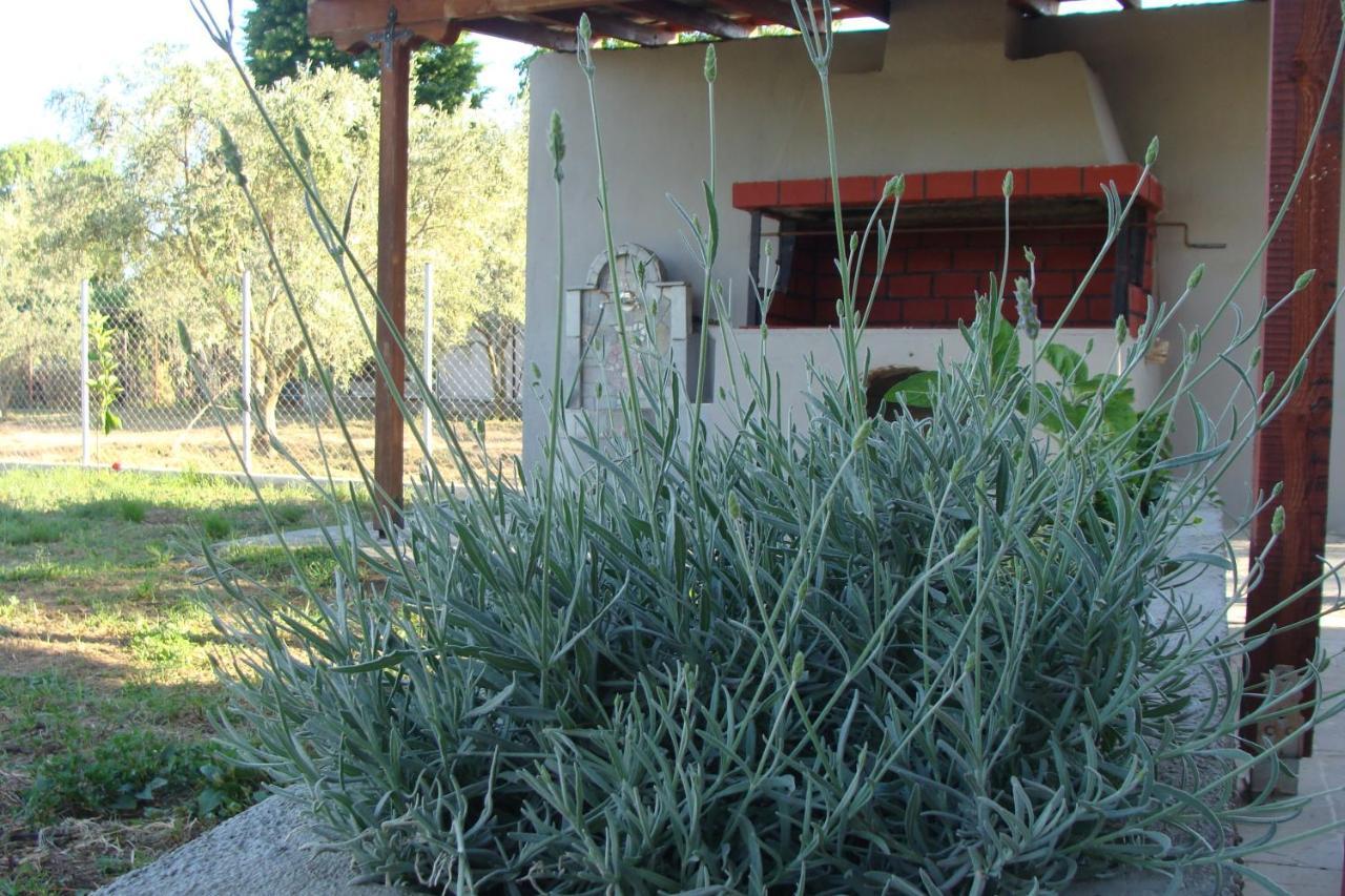 Gorjelina 'S House Villa Volos Exteriör bild